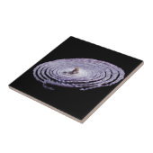 Carreau Portrait d'oignon rouge (Côté)