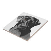 Carreau Portrait du Labrador noir  (Côté)