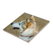 Carreau Portrait Husky (Côté)