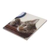 Carreau Portrait Kitten (Côté)