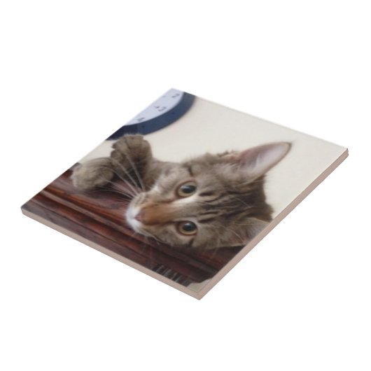 Carreau Portrait Kitten (Côté)