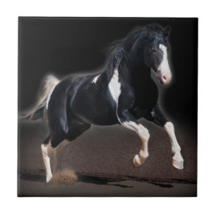 Carreau Portrait VIII de cheval