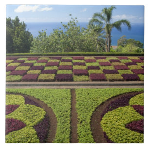 Carreau Portugal, île de Madère, Funchal. Botanique
