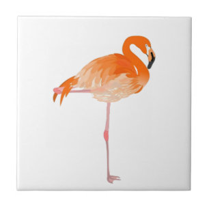 CARREAU POSITION SI FIÈRE