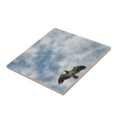 Carreau Possibilités à venir (Côté)