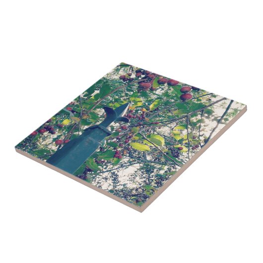 Carreau Poste de clôture (Côté)