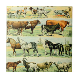 Carreau Poster de animal agricole Vintage