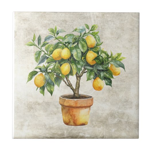 Carreau Pot de céramique d'arbre citronnier rustique (Devant)