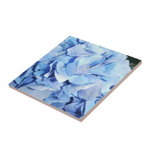 Carreau Poudre bleu Hydrangea (Côté)