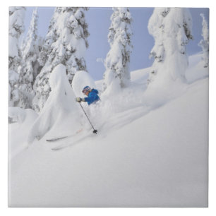 Carreau Poudre de skis Mistie Fortin