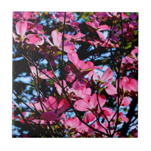 Carreau Poudrier rose fleuri photo en céramique