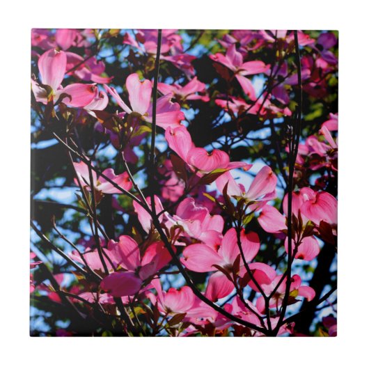 Carreau Poudrier rose fleuri photo en céramique (Devant)