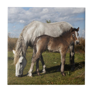 Carreau Poulain de cheval de Camargue avec sa mère