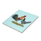 Carreau Poule bleue du Delaware (Côté)