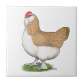 Carreau Poule de Faverolle (Devant)