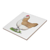 Carreau Poule de Faverolle (Côté)