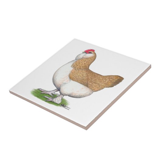 Carreau Poule de Faverolle (Côté)