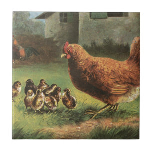 Carreau Poule et poussins