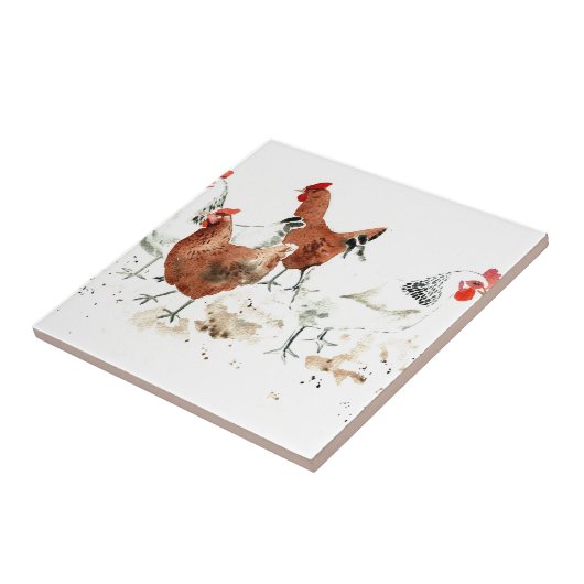 Carreau Poules (Côté)