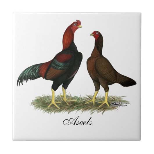 Carreau Poules Aseel Black Red (Devant)