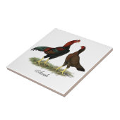Carreau Poules Aseel Black Red (Côté)