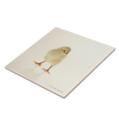 Carreau Poulet de bébé (Côté)