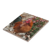 Carreau Poulet de coq nain de Nankin (Côté)