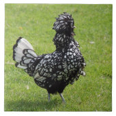 Carreau Poulet français (Devant)