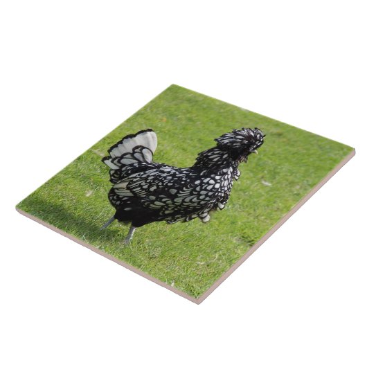 Carreau Poulet français (Côté)