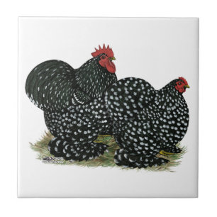 Carreau Poulet moucheté