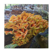 Carreau Poulet orange du champignon des bois (Devant)