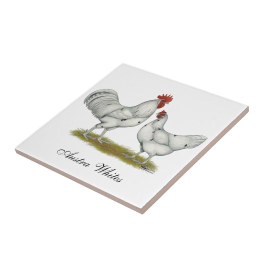 Carreau Poulets blancs Austra (Côté)