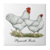 Carreau Poulets blancs de roche (Devant)