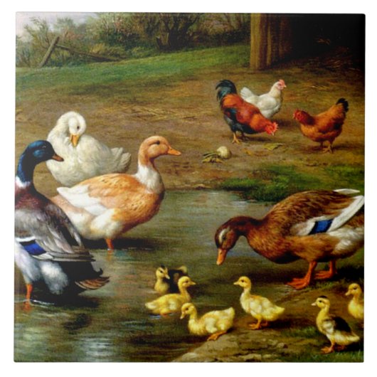 Carreau Poulets, Canards Et Canards À La Ferme (Devant)