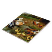 Carreau Poulets, Canards Et Canards À La Ferme (Côté)