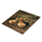 Carreau Poulets de bébé de l'ère victorienne (Côté)