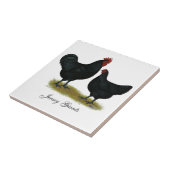 Carreau Poulets de géant du Jersey (Côté)