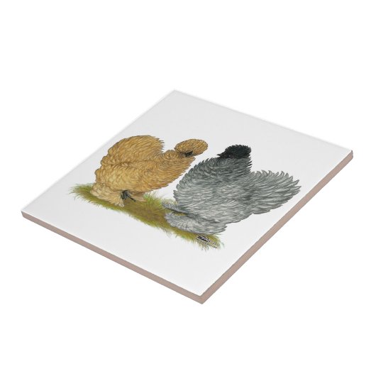 Carreau Poulets de grésillement (Côté)