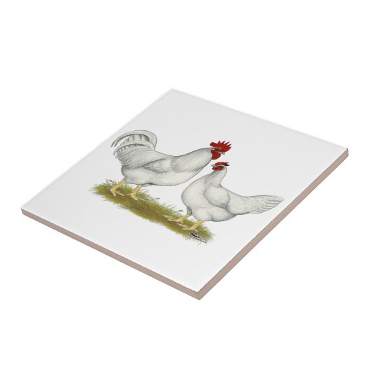 Carreau Poulets de Lamona (Côté)