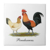 Carreau Poulets de Penedesenca (Devant)