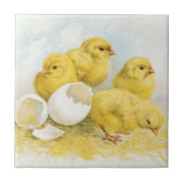 Carreau Poulets vintages de bébé (Devant)