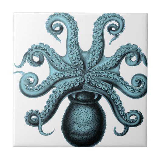 Carreau Poulpe dans Teal (Devant)