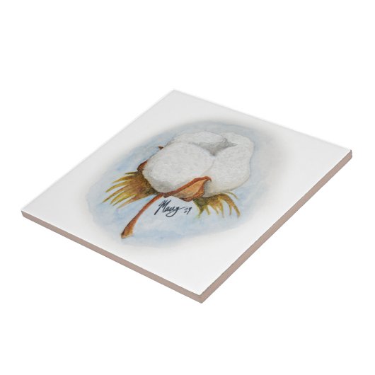 Carreau Poupée de coton (Côté)