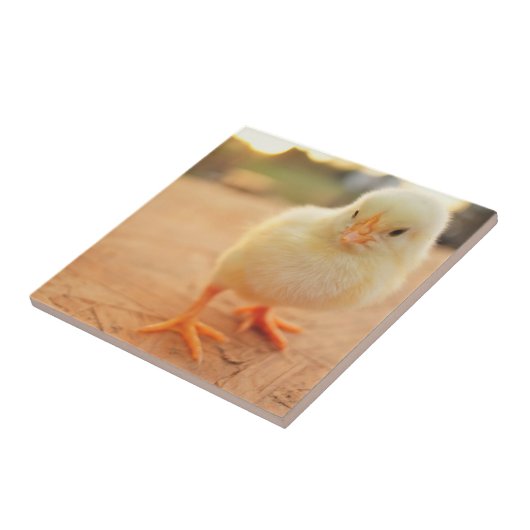 Carreau Poussins de bébé (Côté)