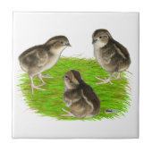 Carreau Poussins de cailles (Devant)