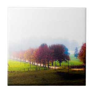 Carreau Prairie brumeuse en automne