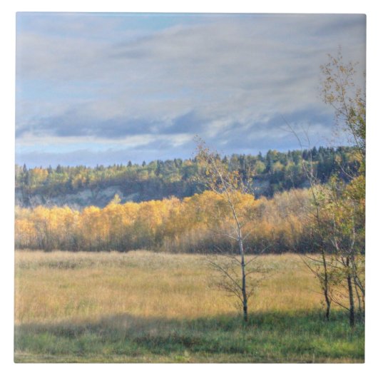 Carreau Pré avec Aspens (Devant)