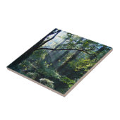 Carreau Premier Carrelage décoratif clair (Côté)
