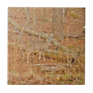 Carreau Premier hiver du Cerf de Bébé