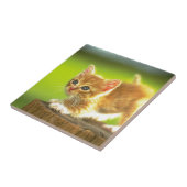 Carreau Préparez pour sauter le chaton (Côté)